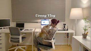 Vlog for decorating the home office for perfect home work