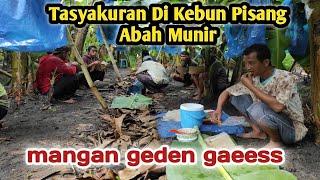 Panen dan Tasyakuran di Kebun Pisang Abah Munir