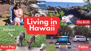 Life in Pahoa Hawaii Vlog  Police Trouble  The Arch  Moon Rise 