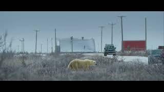 FFF 2022   Trailer   Nuisance Bear