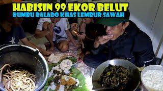 MAKAN NIKMAT TENGAH MALAM BELUT BALADO HASIL NGOBOR BIKIN KETAGIHAN