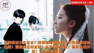 Hu Ge is ex-girlfriend Yang Zi Cheng Yi Liu Yifeis Dong Xuan Gao Yunxiang Mengyao had no Xiaoba Q&A