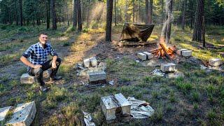 Im Building a Guest LOG CABIN on My Land from SCRATCH PART 1