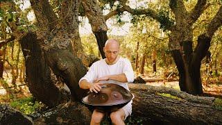 Wisdom Of The Trees  1 hour handpan music  Malte Marten