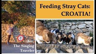 Feeding Stray Cats CROATIA