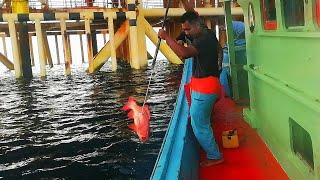 Nelayan Pancing Laut Dalam Terengganu