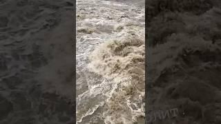 Река Сочи. После дождя. Сочи 05.05.2024. #сочи #сочи2024  #путешествия #сочи2024 #погодасочи