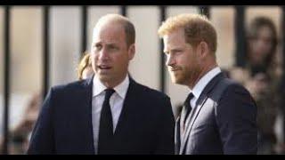 Harry et William  une seule personne aurait pu venir à bout de leur conflit...