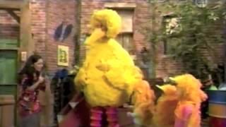 Sesame Street - Leelas Sesame Street video