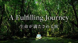 屋久島  Yakushima A Fulfilling Journey  生命が満たされる旅 Documentary 4K