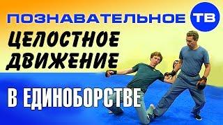 Целостное движение в единоборстве Познавательное ТВ Евгений Беляков