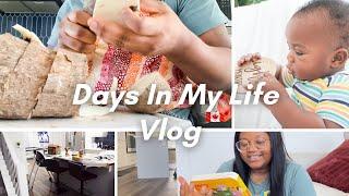 VLOGUnboxing pantry boxesvlogging with my new camera8-month old baby photosSpring came early