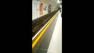 Stupid woman scared of mouse in London underground station