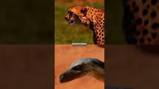 Cheetah vs Velociraptor  Open Collab Submission  @KingSpinoYT