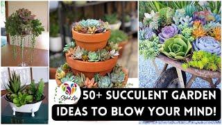 50+ Succulent Garden Ideas to blow your mind Must See