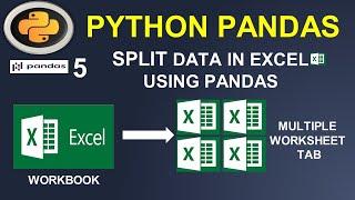 Python Pandas Tutorial Split Excel Data into Worksheet by Column Values #5