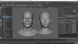 Getting Started with Autodesk Maya and NVIDIA ACE Get and Setup API Key