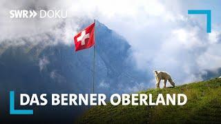 Das Berner Oberland – Ein Sommer in den Schweizer Alpen  SWR Doku