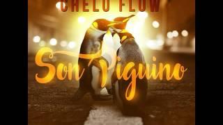 Chelo Flow Rd - Son Pinguino