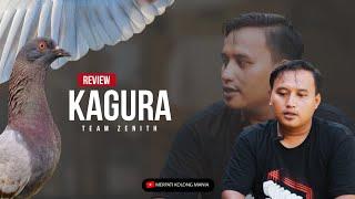 REVIEW MERPATI  BERKELAS LAHIR DI KANDANG SEDERHANA ‼️ KAGURA Team ZENITH sang juara 1 pra new ayla