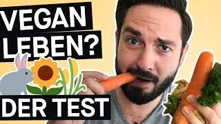 Selbstversuch 2 Wochen vegan leben – wie ist das?  PULS Reportage