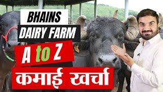 A to Z buffalo dairy income  Best dairy farming in India  dairy farm business  भैंस पालन #dairy