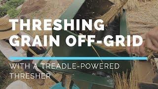 How we do Stuff Threshing Wheat with a Treadle Thresher