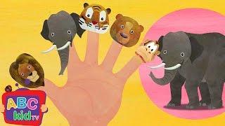 Finger Family - Animals  CoCoMelon Nursery Rhymes & Kids Songs
