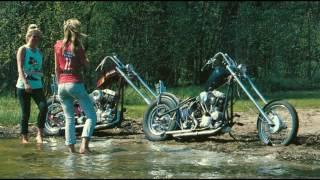 Denvers Choppers Meet - Sweden -84 -85