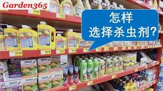 【肥料，杀虫剂】怎样选择肥料和杀虫剂？