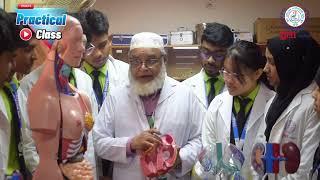 Anatomy  Dr. Md Tajul Islam Talukder  Trauma MATS  2024