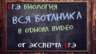 Вся ботаника ЕГЭ тут от эксперта ЕГЭ  Биология ЕГЭ