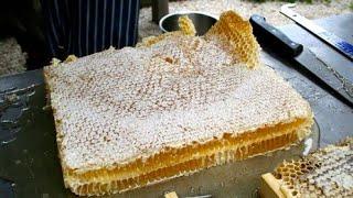 How to harvest honey  Apis cerana bees#honey