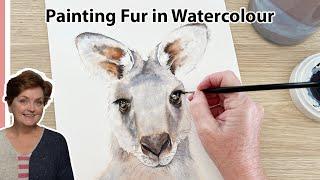 Painting a Cute Kangaroo for the Nursery Watercolour Fur Techniques