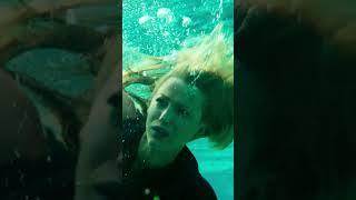 The Attack Scene  The Shallows