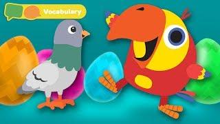 Learn First Words w Larry The Bird - Animal Sounds  Toddler Learning Video Words  First University