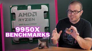 The 9950x doesnt make much sense - Review and Benchmarks vs 14900K 7950X 7800X3D...