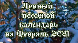 Лунный посевной календарь на Февраль 2021 года