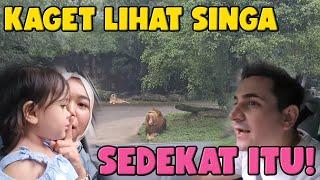 MUSAB SHOCK LIAT ZOO DI INDONESIA Explore Indonesia Eps.9