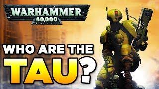 THE TAU - RACE OVERVIEW - Beginners Guide  WARHAMMER 40000 Lore  History