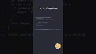 Noob vs Pro JavaScript Developer ‍