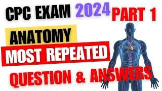 Anatomy CPC Exam Prep Most Repeated Questions & Answers Part 1