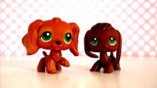 LPS The Cleaning Disaster  LPSskittles