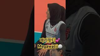 Megawati JeongGwanJang Red Sparks Korean womens professional volleyball