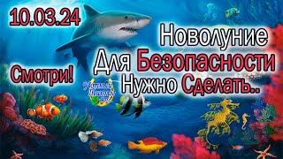 ОТВЕТСТВЕННОЕ НОВОЛУНИЕ 10 МАРТА 2024 В РЫБАХ ВЫЙДИ НА НОВЫЙ УРОВЕНЬ ЗАКРОЙ АСТРОГОД ПРАВИЛЬНО ДЕЛАЙ