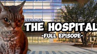 CAT MEMES THE HOSPITAL COMPILATION +EXTRA SCENES