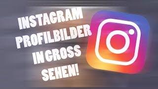 Instagram Profilbilder groß sehen