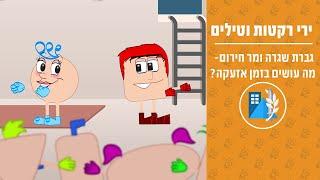 גברת שגרה ומר חירום- מה עושים בזמן אזעקה?