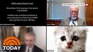 Lawyer Who Couldn’t Turn Off Cat Filter In Zoom ‘I Don’t Know How It Got On’  TODAY
