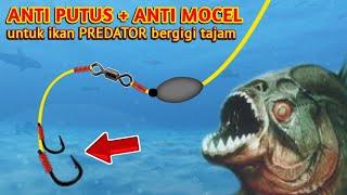 TUTORIAL RANGKAIAN PANCING ANTI MOCEL + ANTI PUTUS  TEKNIK DASARAN